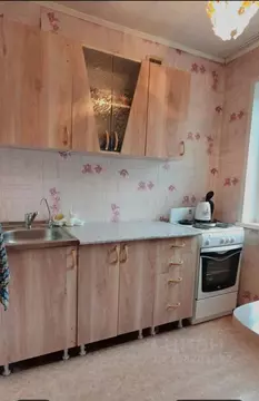 1-к кв. Алтайский край, Барнаул ул. Панфиловцев, 15 (30.0 м)