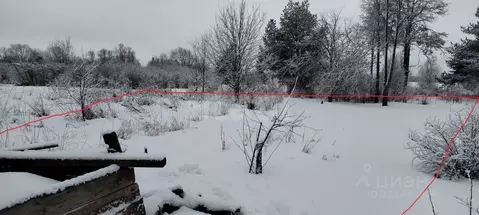 Участок в Вологодская область, д. Кудрявцево (Семенковский сельсовет) ...