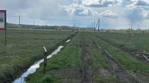 Участок в Новгородская область, Чудовский район, Трегубовское с/пос, ...