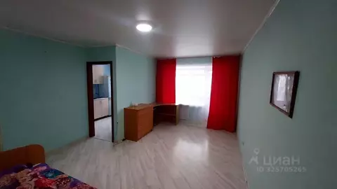 1-к кв. Алтайский край, Барнаул Социалистический просп., 105 (32.0 м)