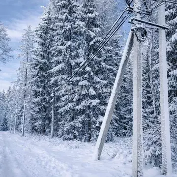 Участок в Ленинградская область, Ломоносовский район, Лопухинское ...