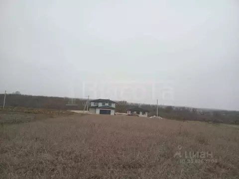 Участок в Воронежская область, Рамонский район, с. Новоживотинное  ...