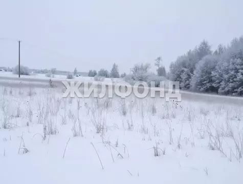 Участок в Новосибирская область, Новосибирский район, Кубовинский ...