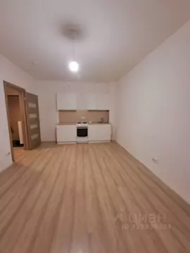 1-к кв. Санкт-Петербург ул. Архивная, 7 (38.0 м)