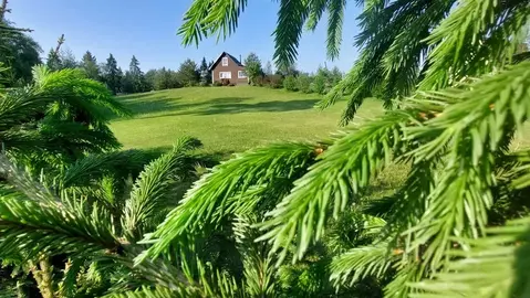 Дом в Ленинградская область, Лужский район, Скребловское с/пос, д. ...