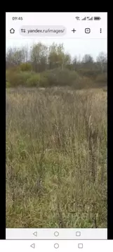 Участок в Нижегородская область, Володарский муниципальный округ, ...