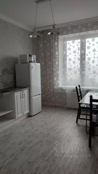 1-к кв. Санкт-Петербург Светлановский просп., 103 (40.0 м)