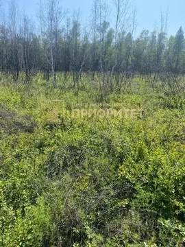 Участок в Саха (Якутия), Якутск Вилюйский тракт (7.7 сот.)