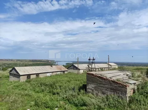 Помещение свободного назначения в Алтайский край, Усть-Пристанский ...