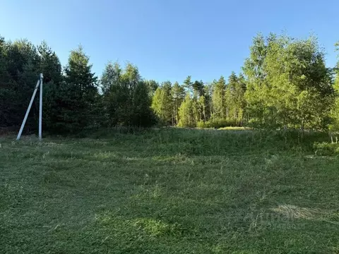 Участок в Вологодская область, Череповецкий район, д. Песье  (14.0 ...