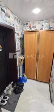 1-к кв. Алтайский край, Барнаул Силикатная ул., 7а (29.0 м)