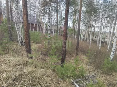 Участок в Иркутская область, Иркутский муниципальный округ, с. Мамоны, ...