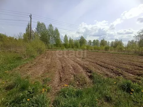 Участок в Костромская область, Костромской район, с. Сущево Поселковая ...