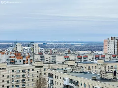 1-комнатная квартира: Волгоград, микрорайон Тулака, Туркменская улица, ...