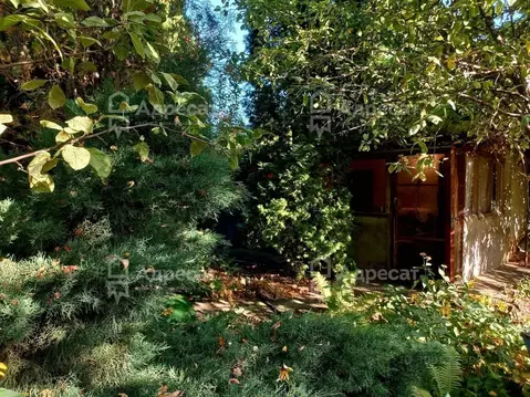 Дом в Волгоградская область, Дубовский район, Пичужинское с/пос, ...