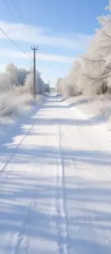 Участок в Новгородская область, Чудовский район, Трегубовское с/пос, ...