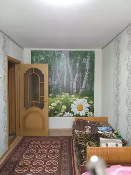 3-к кв. Пермский край, Пермский муниципальный округ, с. Усть-Качка ул. ...