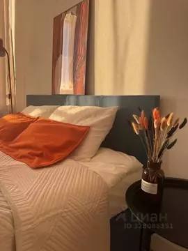 Студия Санкт-Петербург наб. Миклухо-Маклая, 3к1 (22.0 м)