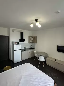 Студия Санкт-Петербург ул. Верхне-Каменская, 11к1 (27.0 м)