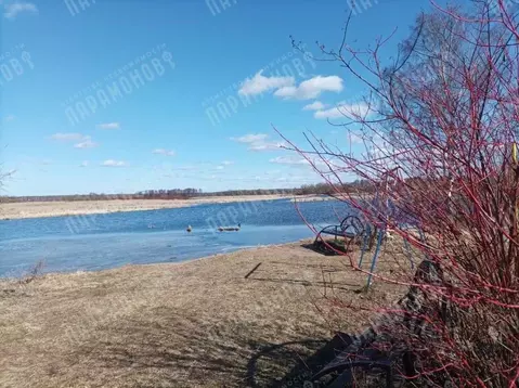 Участок в Тверская область, Конаковский муниципальный округ, Деревня ...