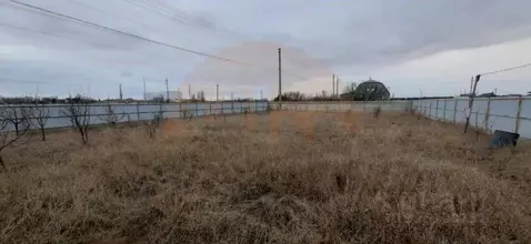 Участок в Крым, Сакский район, с. Лесновка ул. Зеленая (10.0 сот.)