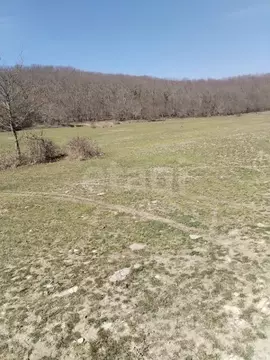 Участок в Краснодарский край, Геленджик городской округ, с. ...