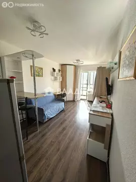 Квартира-студия: Санкт-Петербург, проспект Ветеранов, 175к4 (24.7 м)