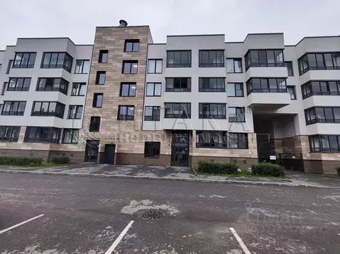 Студия Санкт-Петербург ул. Владимира Пчелинцева, 6к2 (23.5 м)