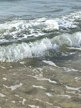 Участок в Крым, Черноморское пгт ул. Сигнальная, 15Е (15.0 сот.)