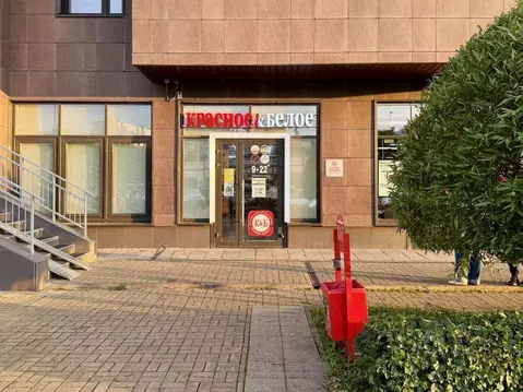 Помещение свободного назначения в Санкт-Петербург Приморский просп., ...