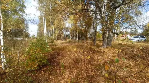 Участок в Костромская область, Костромской район, Апраксинское с/пос, ...