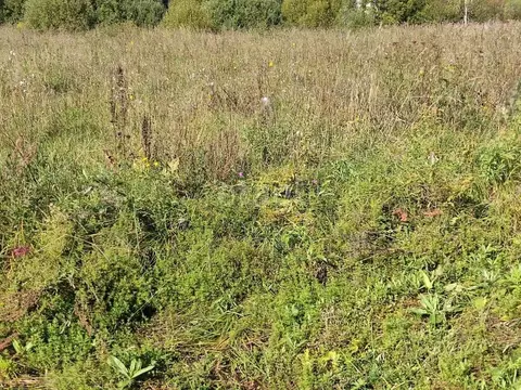 Участок в Калужская область, Калуга  (7.5 сот.)