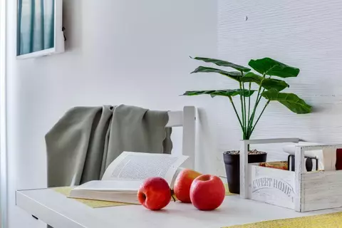 Студия Москва просп. Вернадского, 41С1 (18.0 м)