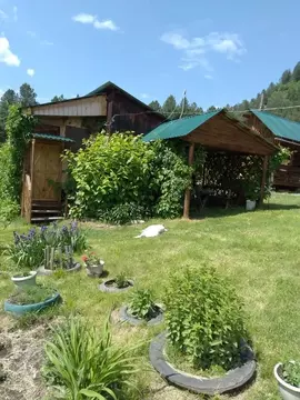 Дом в Алтай, Турочакский район, с. Артыбаш  (22 м)