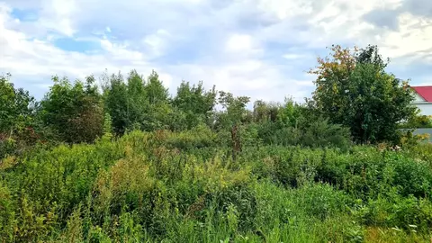 Участок в Челябинская область, Еманжелинский муниципальный округ, ...