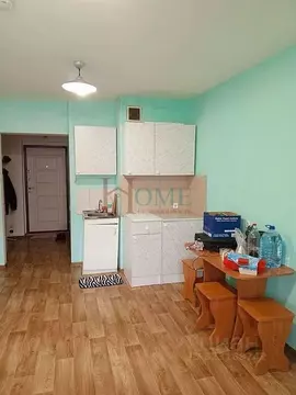 Студия Новосибирская область, Новосибирск Ударная ул., 25/1 (25.0 м)