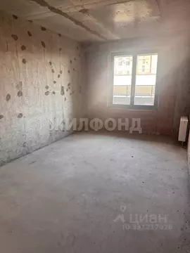 Студия Санкт-Петербург просп. Энгельса, 31 (25.2 м)