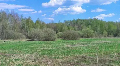 Участок в Московская область, Раменский муниципальный округ, д. ...