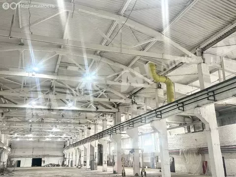 Производственное помещение (3975 м)