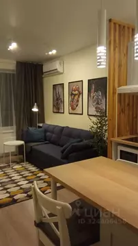 Студия Воронежская область, Воронеж ул. Независимости, 84/3 (24.5 м)