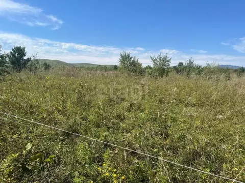 Участок в Алтайский край, Алтайский район, Айский сельсовет, ...