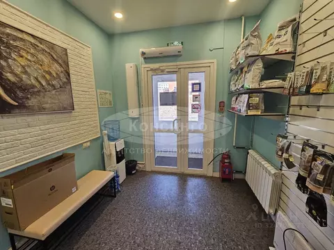 Помещение свободного назначения в Москва Дубнинская ул., 13 (92 м)