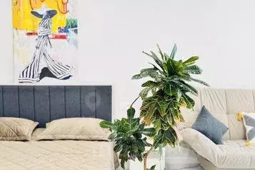 1-к кв. Ставропольский край, Ессентуки ул. Луначарского, 11 (45.0 м)