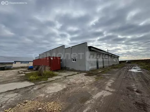 Помещение свободного назначения (650 м)