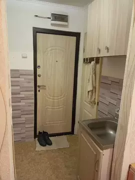 Студия Ленинградская область, Сосновый Бор Сибирская ул., 2 (13.0 м)