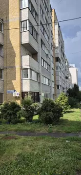 Студия Чувашия, Чебоксары Альгешево мкр, ул. Болгарстроя, 3 (30.0 м)