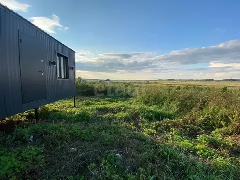 Участок в Новосибирская область, Коченево рп  (10.0 сот.)