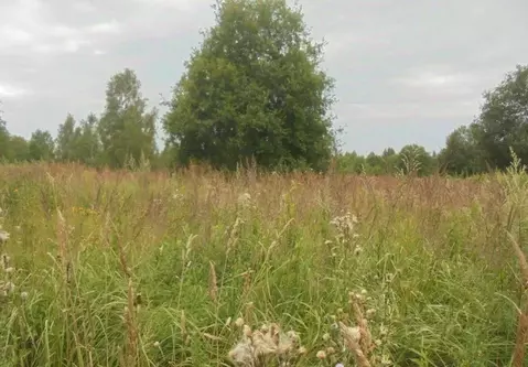 Участок в Московская область, Дмитровский муниципальный округ, д. ...