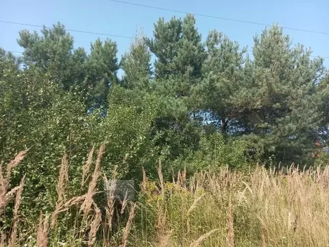 Участок в Московская область, Солнечногорск городской округ, д. ...
