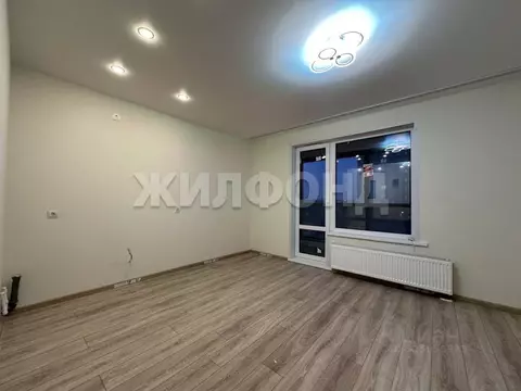 Студия Ленинградская область, Всеволожский район, Заневское городское ...